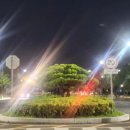 세계의 술과 글로벌 음주문화 이미지