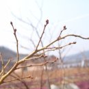 선은농장(1) 이미지