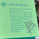 동굴에 평화의 동백이 이미지