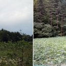 산양농산촌체험마을 이미지