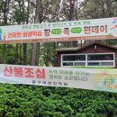 황족원데이 이미지