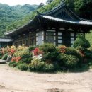 삼정로 이미지