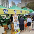 안성농기