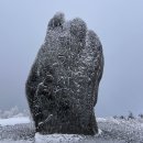 제 88차 1월 정기산행(평창 태기산) 이미지