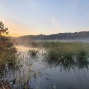 대요낚시터 이미지