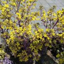 상삼공원 이미지