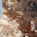 늘밭농장 이미지