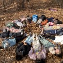 햇살자연어린이집 이미지