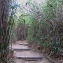 금산농원 이미지