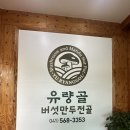 천안 버섯만두전골 맛집 추천 단골이 될지도..?? 귀여운버섯 노루궁뎅이 [유량골 버섯만두전골]