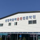 신일자동차 | 일산 신일운전전문학원 장롱면허 도로 연수 내돈내산 후기 (평생교육 이용권)
