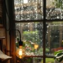 드뷔시음악학원 이미지