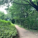 도구머리근린공원 입구 이미지