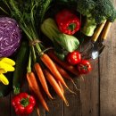 노상혁 FTC 이미지