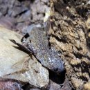 2025년 9월 정기탐사 후기 이미지