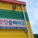 승마 주식회사