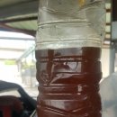 엘란연구소 이미지