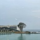 아난티 앳 부산 빌라쥬 이미지