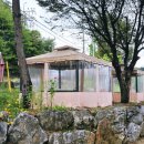 가평다온펜션 | 가평풀빌라펜션 벨로시레이크 가평수영장펜션 리버뷰 프라이빗 풀빌라 솔직후기 제대로 놀다온곳