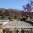 상주 상현리 반송 이미지