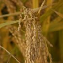 빈이하우스 이미지