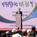 양북시장 GBN 경북방송