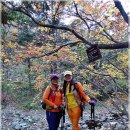 휴양림약수 이미지