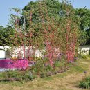 뚝섬한강공원-23 이미지