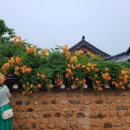 남평문씨본리세거지 주차장 이미지