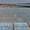 연포농장 이미지