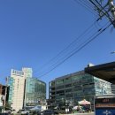 능곡모종 | 11번 버스타고 능곡시장 구경가기