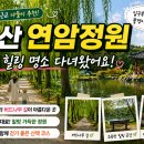 연암 | [광고] 부산 근교 숨은 힐링 명소, 울산 연암정원 다녀온 후기