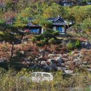 비내청명원 이미지