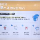 내포아이랑소아치과의원 이미지