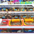 여수이순신건어물