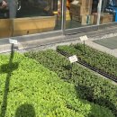 그린농자재마트 이미지