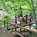 대장경테마파크 이미지