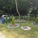 미리내유치원 이미지