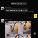 멍쌤 펫 살롱 이미지