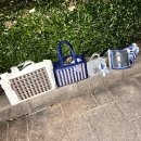 [언제든학교]짧은 소설 긴 수다 시즌10 | 내가 남자에 미쳐서 콘서트 보겠다고 3주만에 일본에 또 갔다고? 그래. | 3박 4일 도쿄 여행 일기