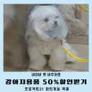 21 | [공지] 소형견 마틴게일 목줄 후기 프로젝트21 네이버 펫바우처