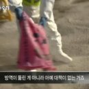 파주양돈단지(4) Daum카페