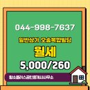 플러스공인중개사사무소 네이버블로그