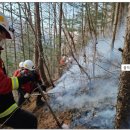 김삿갓면-45 이미지