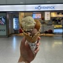 뉴드림마트 상방점 | 🇨🇭 Day 6 | 뮌헨 → 그린델발트 이동 &amp; Eiger 뷰 샬레 추천 | 14박 15일 유럽여행