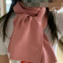 굿디젤 | 디젤 머플러 착샷ㅣ젠테 디젤 머플러 구매 후기