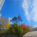 엑슬루타워 상가 앞 이미지