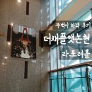 라포레숲 | [강남 웨딩홀] 더채플앳논현 라포레홀 뚜벅이 하객후기 (식사X) | 숲속 야외 웨딩 감성·복층 계단 신부...