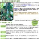 호야문구 이미지