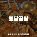 [평택맛집] 곰탕집에서 소곱창전골에 낮술, 원당곰탕 내돈내산 후기